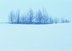 阿黑嘿采集到雪