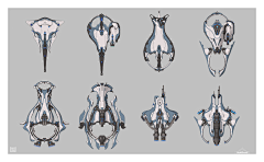 八律采集到warframe  星际战甲