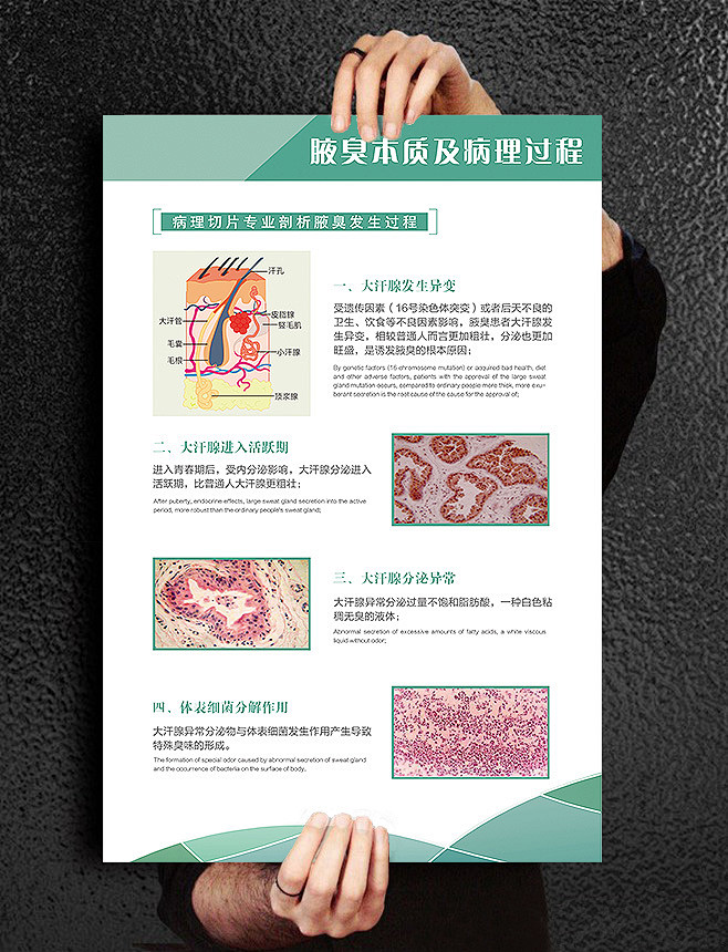 医疗平面设计，有展板，纸杯，就诊卡，扇子...