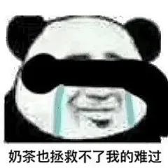 花钱的活动就不要叫我了 
#沙雕熊猫表情包#  
#沙雕表情包#  
#双十一过后# ​​​​