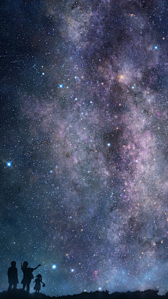 调停者采集到夜的盛装