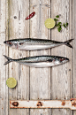 Food with Nico : Food photography, personal projectProp and Food Styling : Nicolas SamouthPhotography : Eve Haudeville