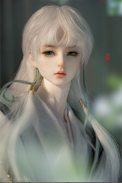 你知道小窝吗采集到BJD/人偶