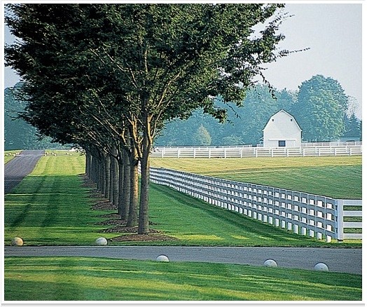 Equine paradise.: 