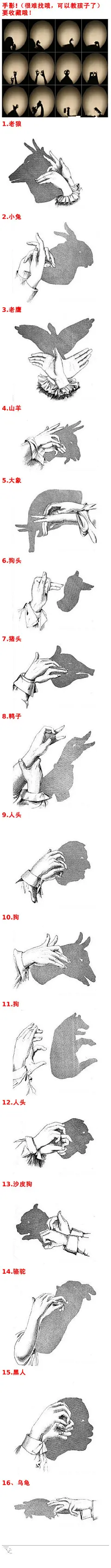 手影大搜集!（很难找哦，可以教教孩子），十分珍贵，赶紧收藏吧！