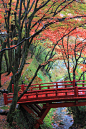 横蔵寺の秋Ⅰ