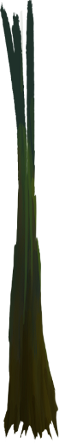 Eff_zhiwu