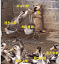 对方打野 对方上单 对方辅助 vs 我