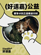 流浪猫公益 - 小红书搜索