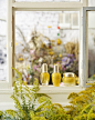 L'OCCITANE en Provence France (@loccitane_fr)'s Instagram Profile | Tofo.me · Instagram网页版