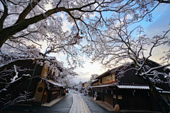 爽爽的yu~采集到雪景