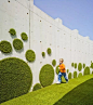 绿植墙丨美好绿意生活模式