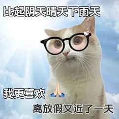PPm9fQio采集到表情包