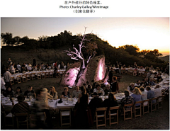 Orchha采集到餐桌布置
