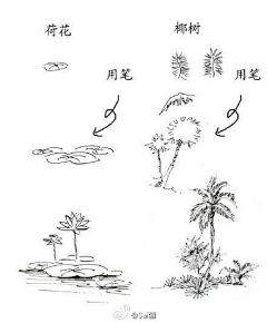 玉海园采集到插画植物