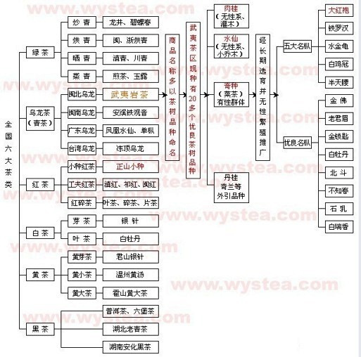 一张图搞清中国茶叶分类