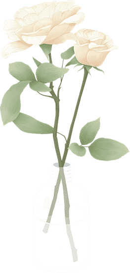 玫瑰花和花瓶