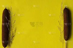 在明亮的黄色织物背景上的草和芦苇的干燥小穗。