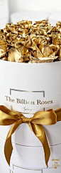 The Billion Roses | LOLO❤︎金色玫瑰