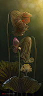 莲花之美