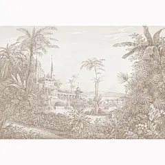 点击查看图片来源