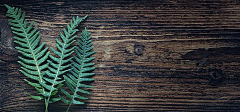 洪雪z采集到banner