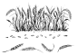 Hand Drawn Black And White Vector Illustration Set Of Grain, Ear Of Wheat,  Grass. Sketch. Stock Vector - Illustration of plant, collection: 190088044