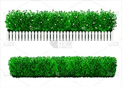 以绿色树篱形式出现的布什