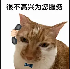 抽象表情包_百度图片搜索