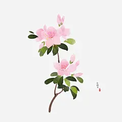 桃花高清素材 png 设计图片 免费下载 页面网页 平面电商 创意素材 png素材