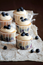 Blueberry Cream Cheese Cupcakes - Cupcake Daily Blog - Best Cupcake Recipes .. one happy bite at a time! Chocolate cupcake recipes, cupcakes