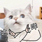 投稿： 想求各种关于... - @社畜茶水间的微博 - 微博