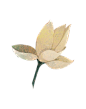 荷2.png