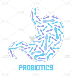 胃正在产生益生菌，乳酸菌。医疗保健标志、免疫支持概念载体的横幅、海报、传单、网站.实用牛奶的符号
