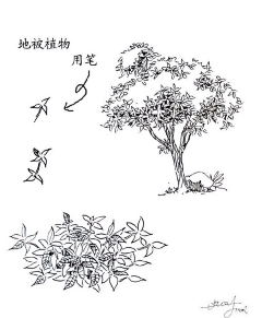 晟逸采集到素描临摹