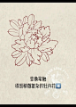 新传统风格牡丹画法 - 小红书