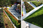 Jinghua Garden / Z+T Studio Landscape Architecture - 谷德设计网 花 台 种植池 现代
