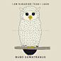 “Bubo drawing”的图片搜索结果
