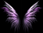 pink_wings