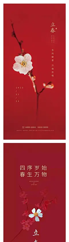 【素材能量站】节气 立春 春季 春天 梅花|987649 
