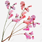 实物粉色樱花 设计图片 免费下载 页面网页 平面电商 创意素材