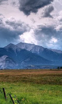 紫色唯美风景480*800安卓手机壁纸图片 | 风景 - 芒果唯美图片(mangowed.com)
