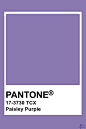 Paisley Purple - Pantone(43655)