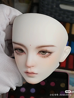 SEGAI采集到BJD