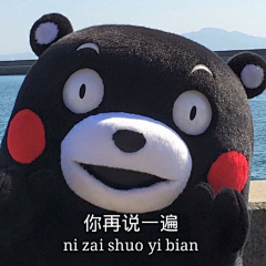 凉风子采集到霓虹·KUMAMON