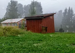 雾景，朴素的木园宅，美丽的花圃秋日晨雾