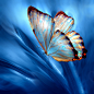 Photograph Blue World by Josep Sumalla on 500px