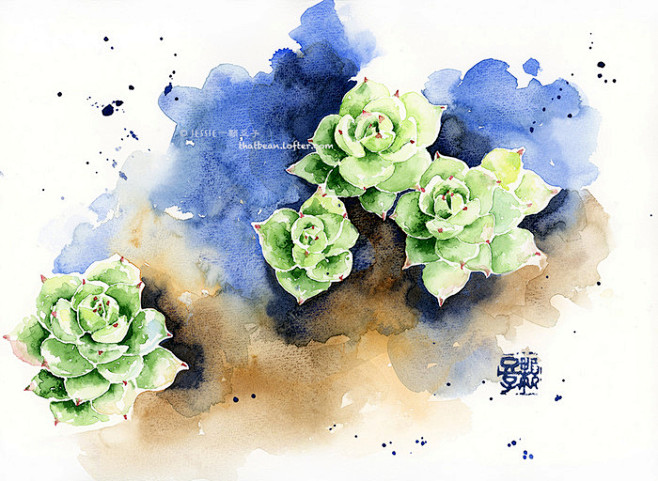 水彩插画——多肉静夜-Jessie一颗豆...