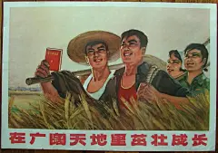 红色年代的宣传海报【二】 - 沉默的麻雀 - 沉默的麻雀的博客