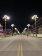 扬州市世博光电有限公司设计生产文化路灯，道路景观灯，大型组合灯厂家